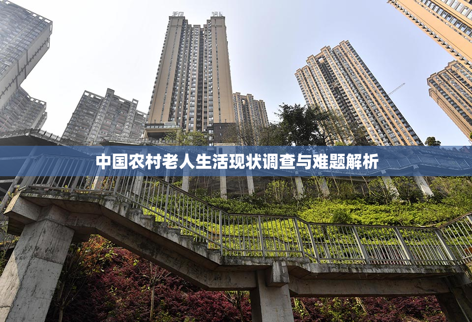 中国农村老人生活现状调查与难题解析