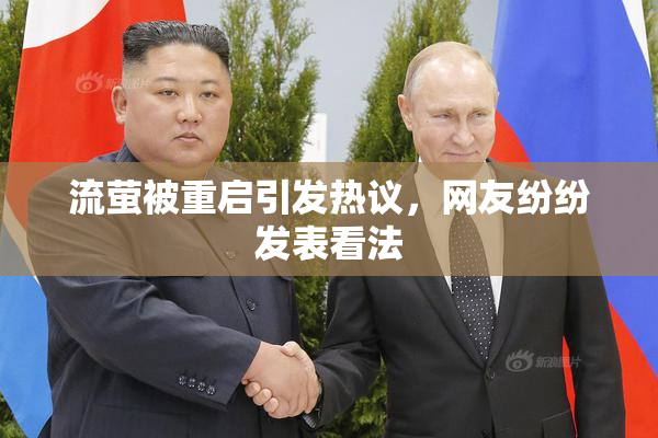 流萤被重启引发热议，网友纷纷发表看法