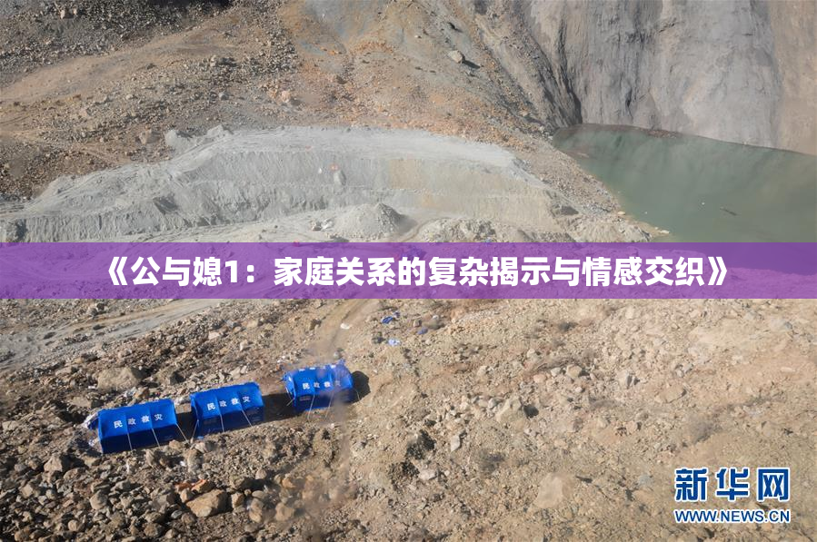 《公与媳1：家庭关系的复杂揭示与情感交织》