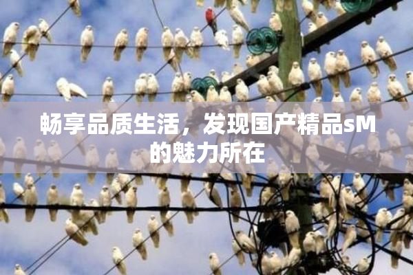 畅享品质生活，发现国产精品sM的魅力所在