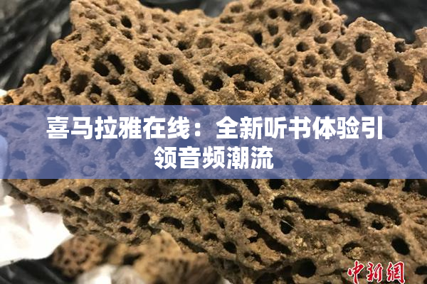 喜马拉雅在线：全新听书体验引领音频潮流
