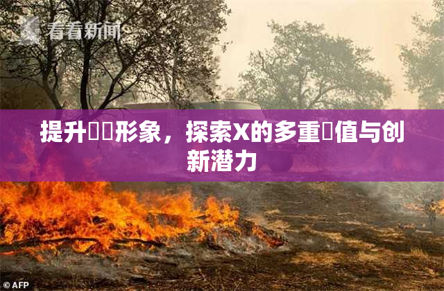 提升國產形象，探索X的多重價值与创新潜力