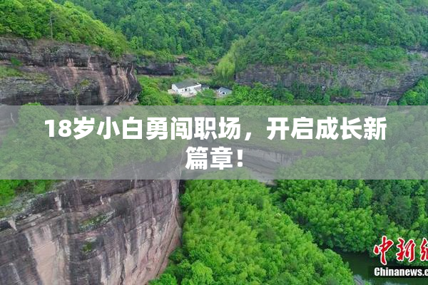 18岁小白勇闯职场，开启成长新篇章！