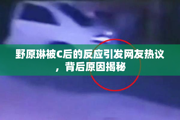 野原琳被C后的反应引发网友热议，背后原因揭秘