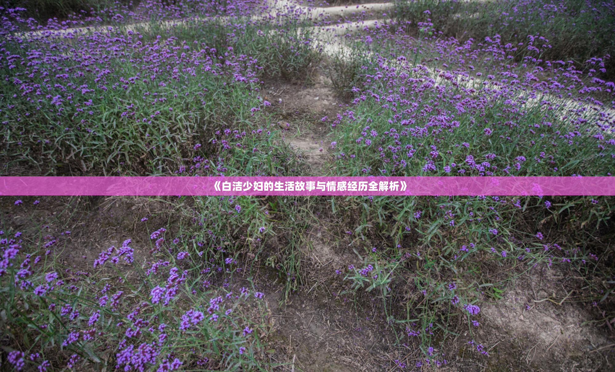 《白洁少妇的生活故事与情感经历全解析》