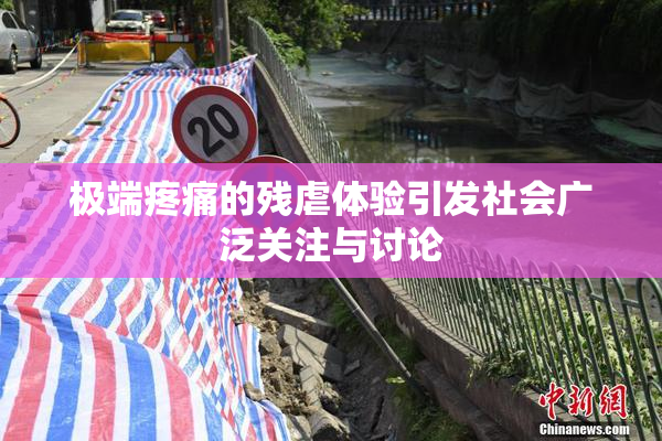 极端疼痛的残虐体验引发社会广泛关注与讨论