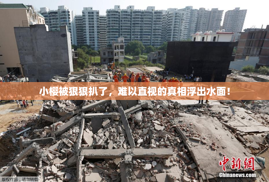 小樱被狠狠扒了，难以直视的真相浮出水面！