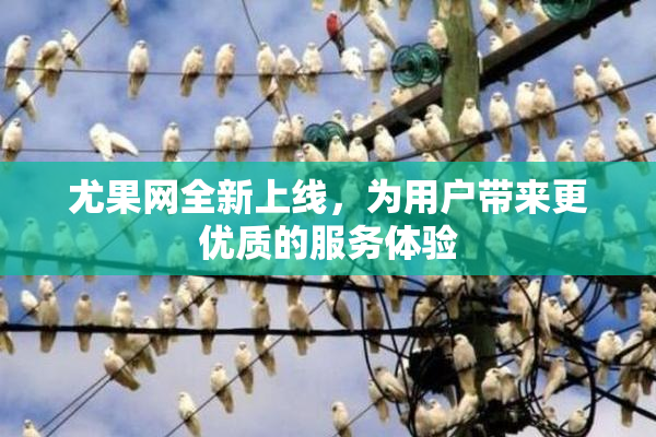 尤果网全新上线，为用户带来更优质的服务体验