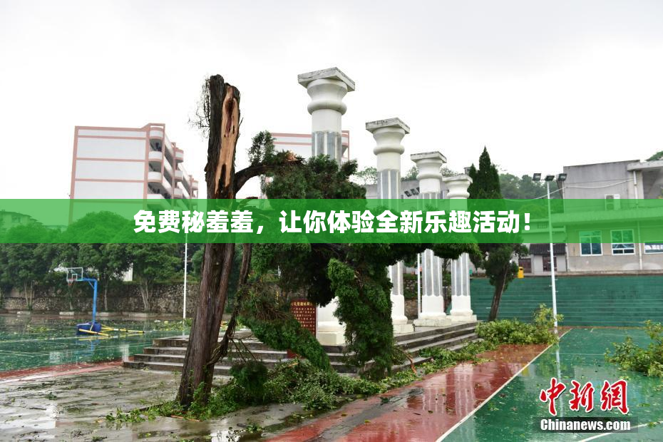 免费秘羞羞，让你体验全新乐趣活动！