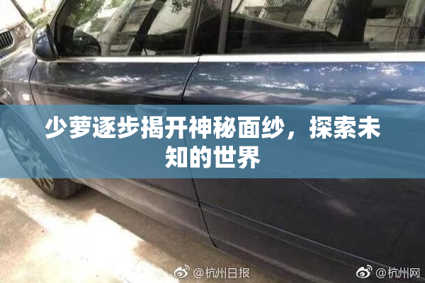 少萝逐步揭开神秘面纱，探索未知的世界