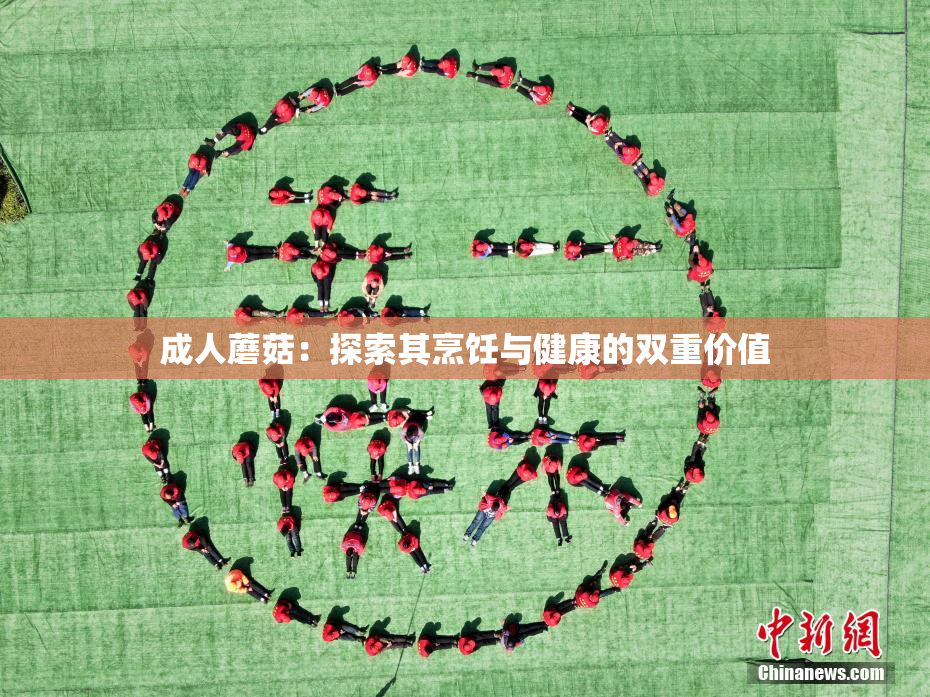 成人蘑菇：探索其烹饪与健康的双重价值