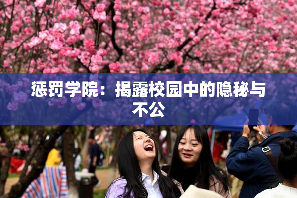 惩罚学院：揭露校园中的隐秘与不公