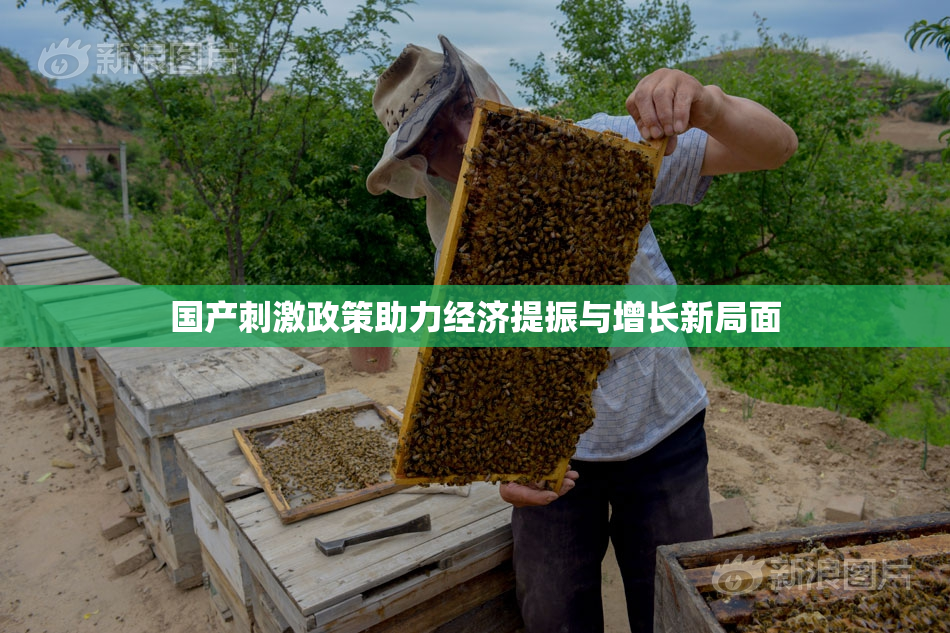 国产刺激政策助力经济提振与增长新局面