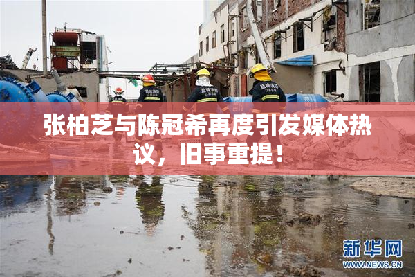 张柏芝与陈冠希再度引发媒体热议，旧事重提！