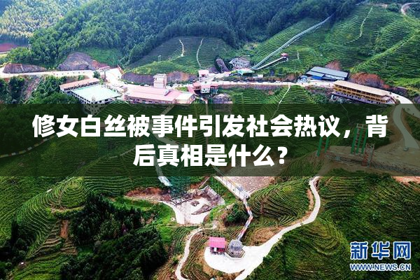 修女白丝被事件引发社会热议，背后真相是什么？