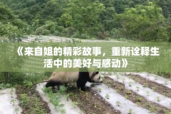 《来自姐的精彩故事，重新诠释生活中的美好与感动》