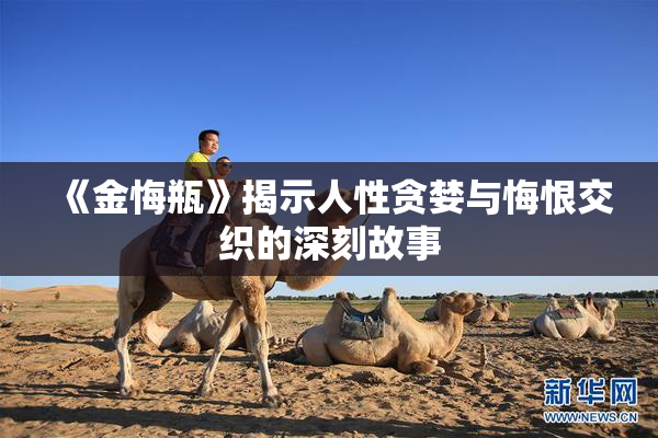 《金悔瓶》揭示人性贪婪与悔恨交织的深刻故事