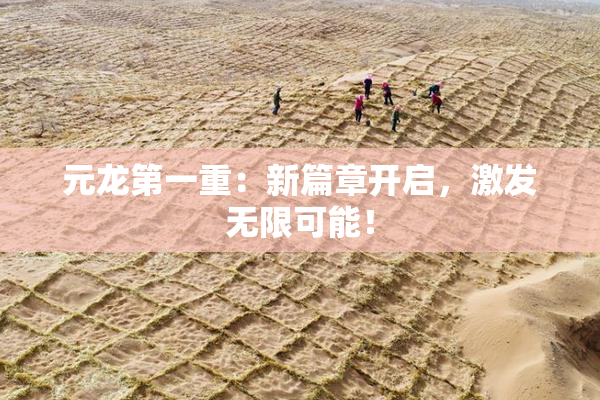 元龙第一重：新篇章开启，激发无限可能！