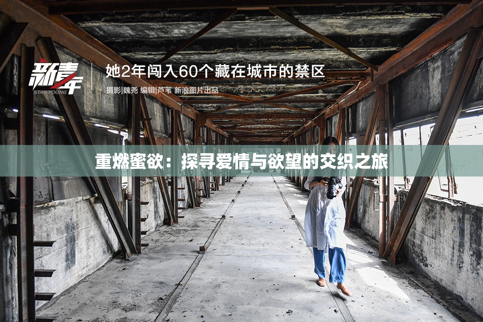 重燃蜜欲：探寻爱情与欲望的交织之旅