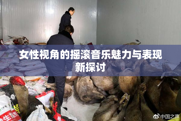 女性视角的摇滚音乐魅力与表现新探讨