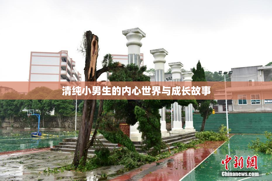 清纯小男生的内心世界与成长故事