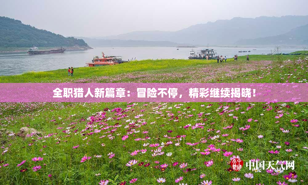 全职猎人新篇章：冒险不停，精彩继续揭晓！