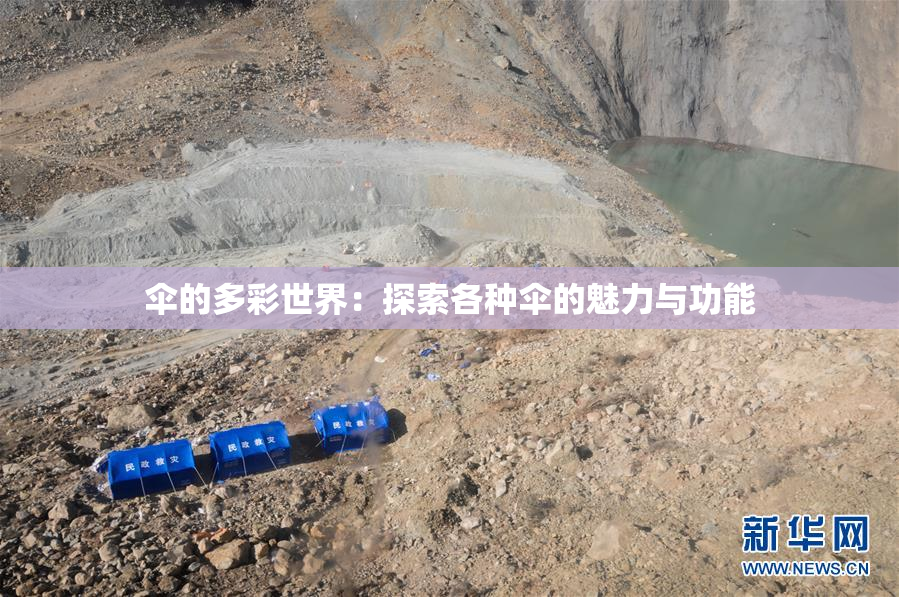 伞的多彩世界：探索各种伞的魅力与功能