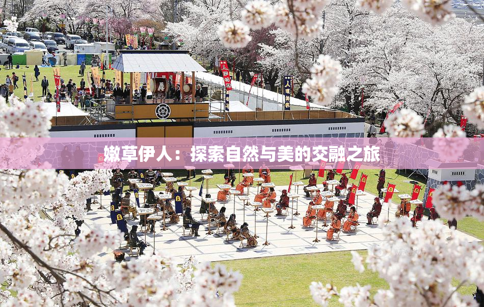 嫩草伊人：探索自然与美的交融之旅