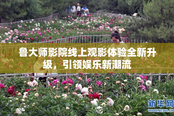鲁大师影院线上观影体验全新升级，引领娱乐新潮流