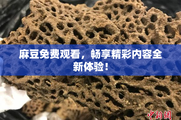 麻豆免费观看，畅享精彩内容全新体验！