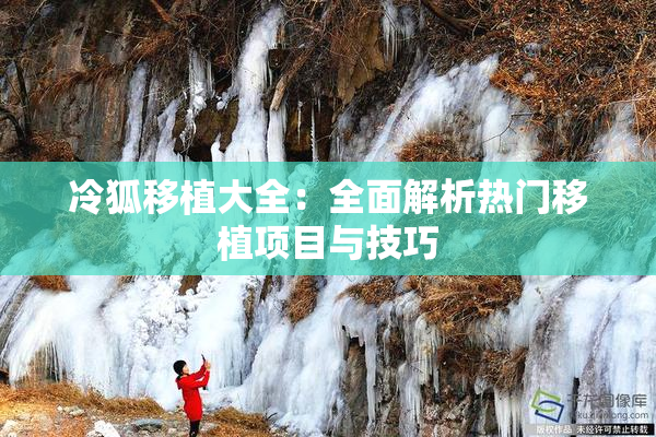 冷狐移植大全：全面解析热门移植项目与技巧