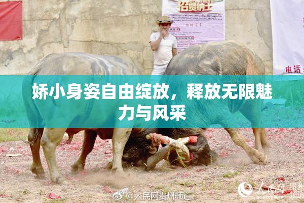 娇小身姿自由绽放，释放无限魅力与风采