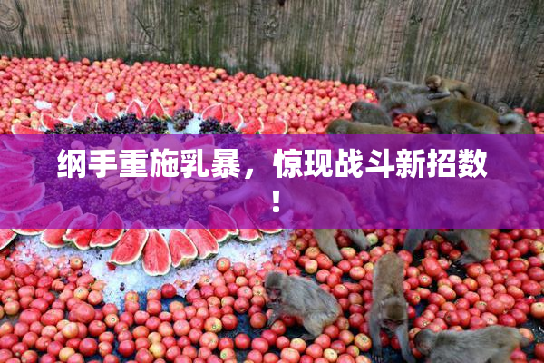 纲手重施乳暴，惊现战斗新招数！