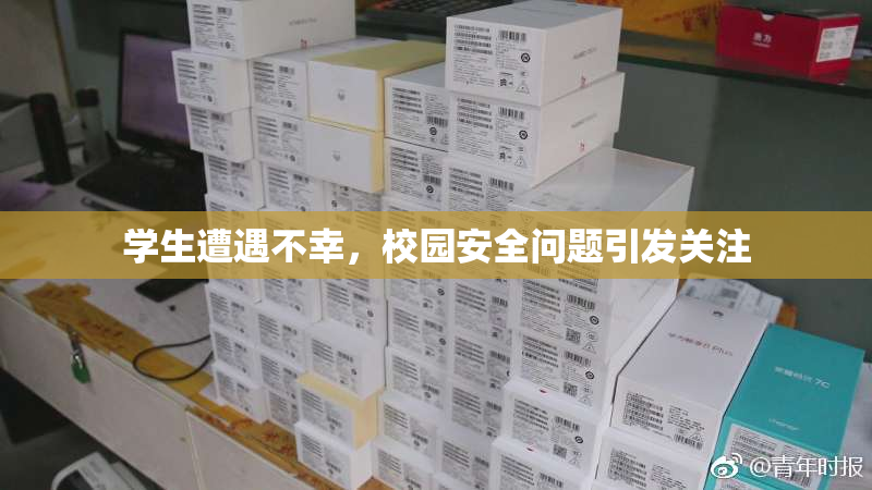 学生遭遇不幸，校园安全问题引发关注