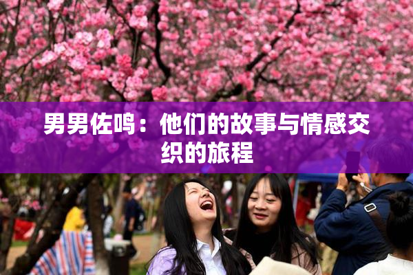 男男佐鸣：他们的故事与情感交织的旅程