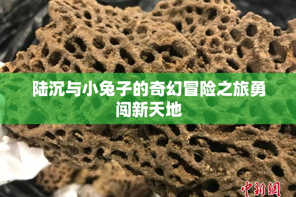 陆沉与小兔子的奇幻冒险之旅勇闯新天地