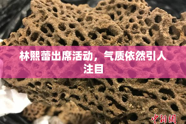 林熙蕾出席活动，气质依然引人注目