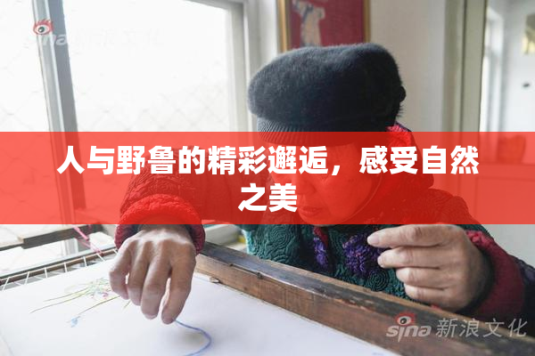 人与野鲁的精彩邂逅，感受自然之美