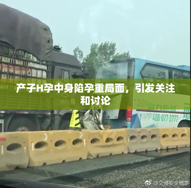 产子H孕中身陷孕重局面，引发关注和讨论