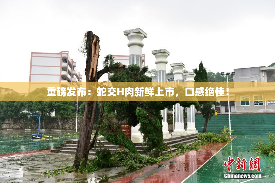 重磅发布：蛇交H肉新鲜上市，口感绝佳！