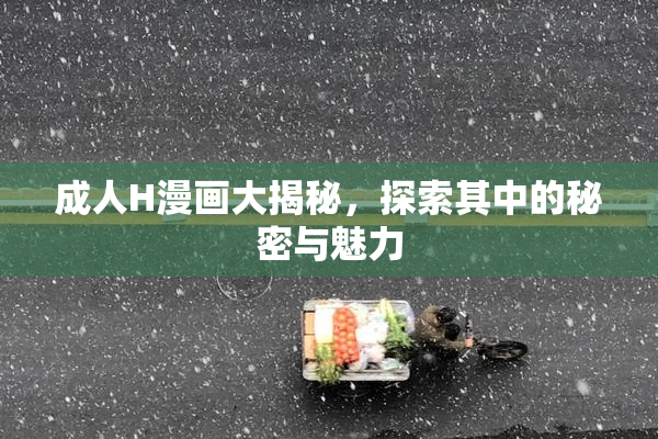 成人H漫画大揭秘，探索其中的秘密与魅力