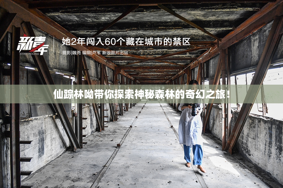 仙踪林呦带你探索神秘森林的奇幻之旅！