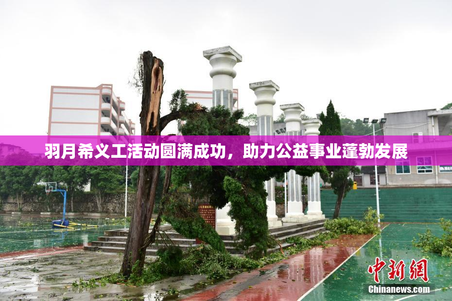 羽月希义工活动圆满成功，助力公益事业蓬勃发展