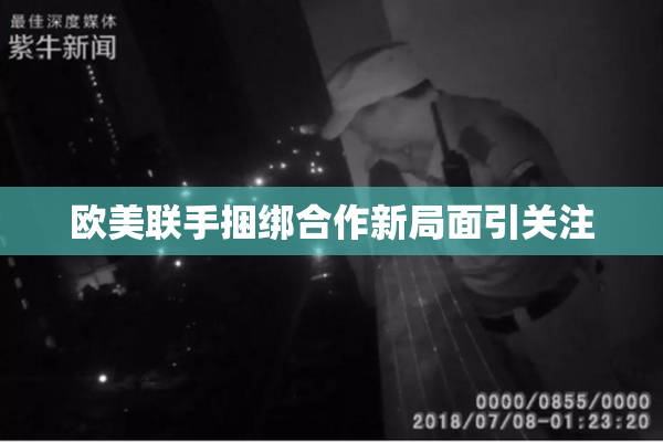 欧美联手捆绑合作新局面引关注