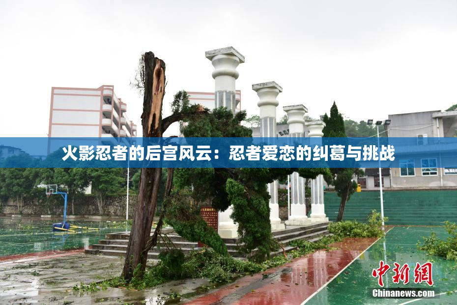 火影忍者的后宫风云：忍者爱恋的纠葛与挑战