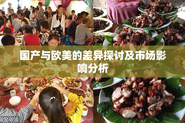国产与欧美的差异探讨及市场影响分析