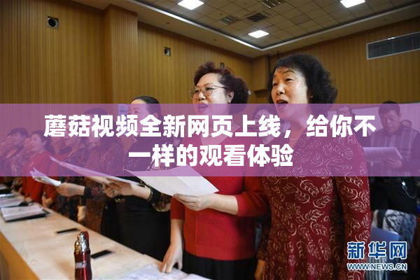 蘑菇视频全新网页上线，给你不一样的观看体验
