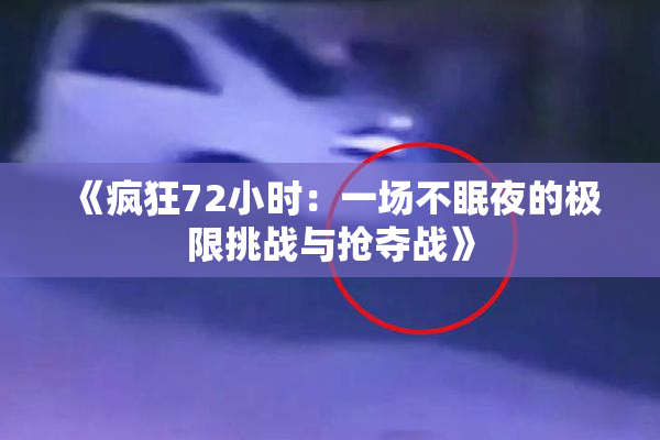 《疯狂72小时：一场不眠夜的极限挑战与抢夺战》