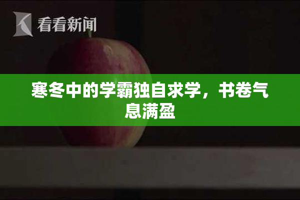 寒冬中的学霸独自求学，书卷气息满盈