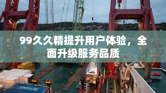 99久久精提升用户体验，全面升级服务品质